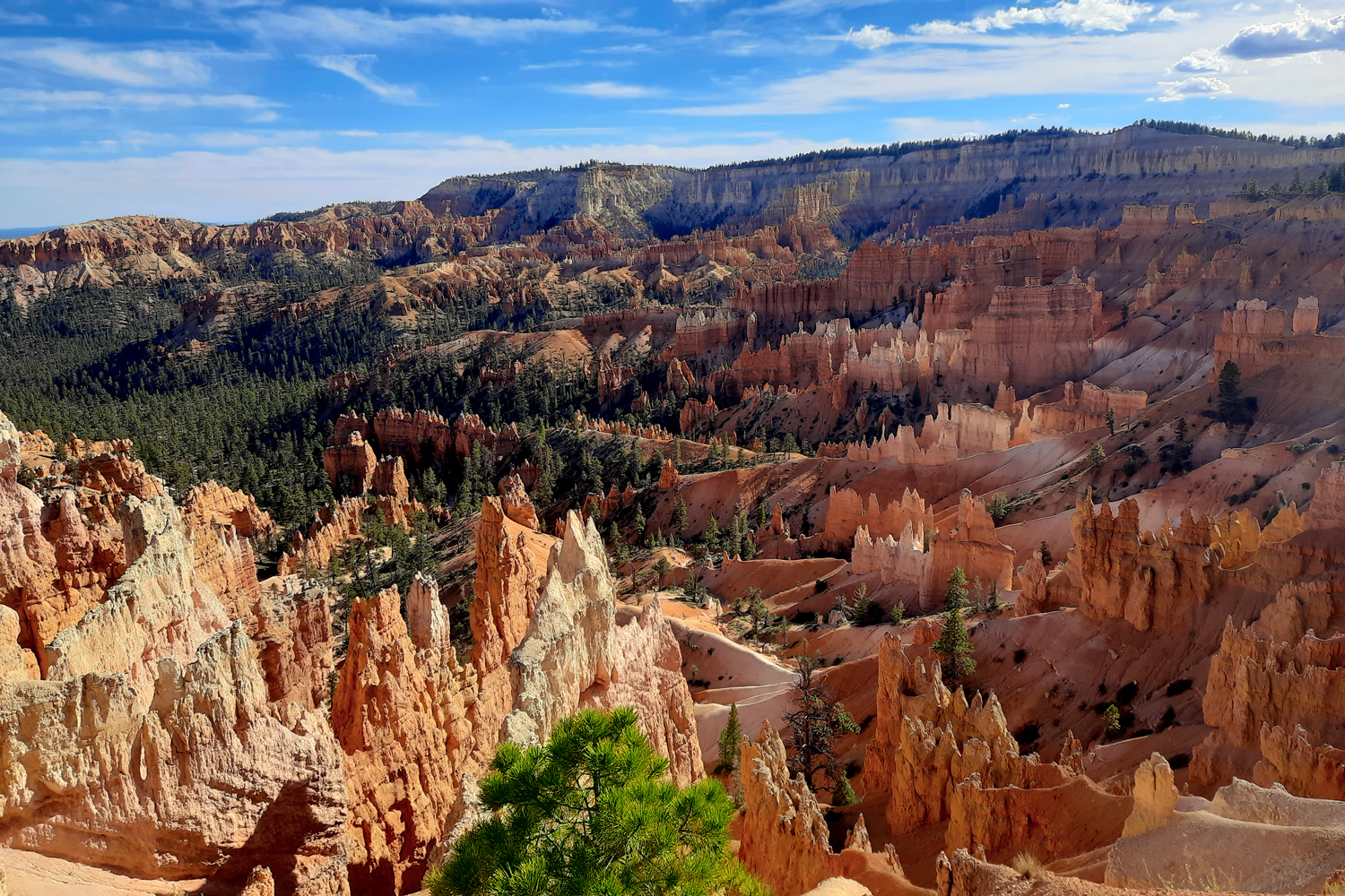 The Bryce Canyon National Parc.