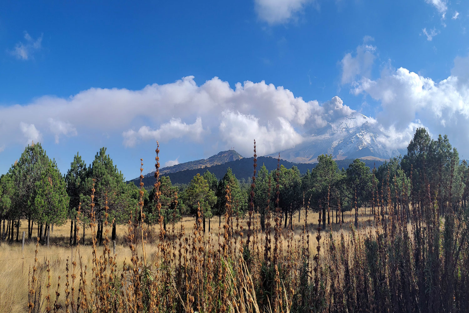Blick auf einen großen Vulkan bei blauem Himmel und einigen Wolken. Im Vordergrund ist eine Steppenlandschaft.