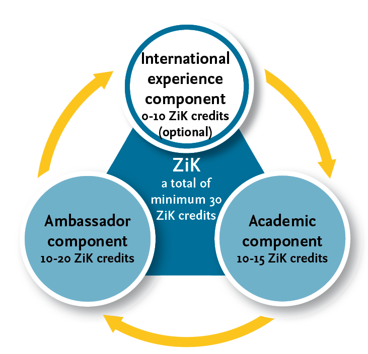 Graphic for ZIK modules which describes how the 30 points for ZIK come together.