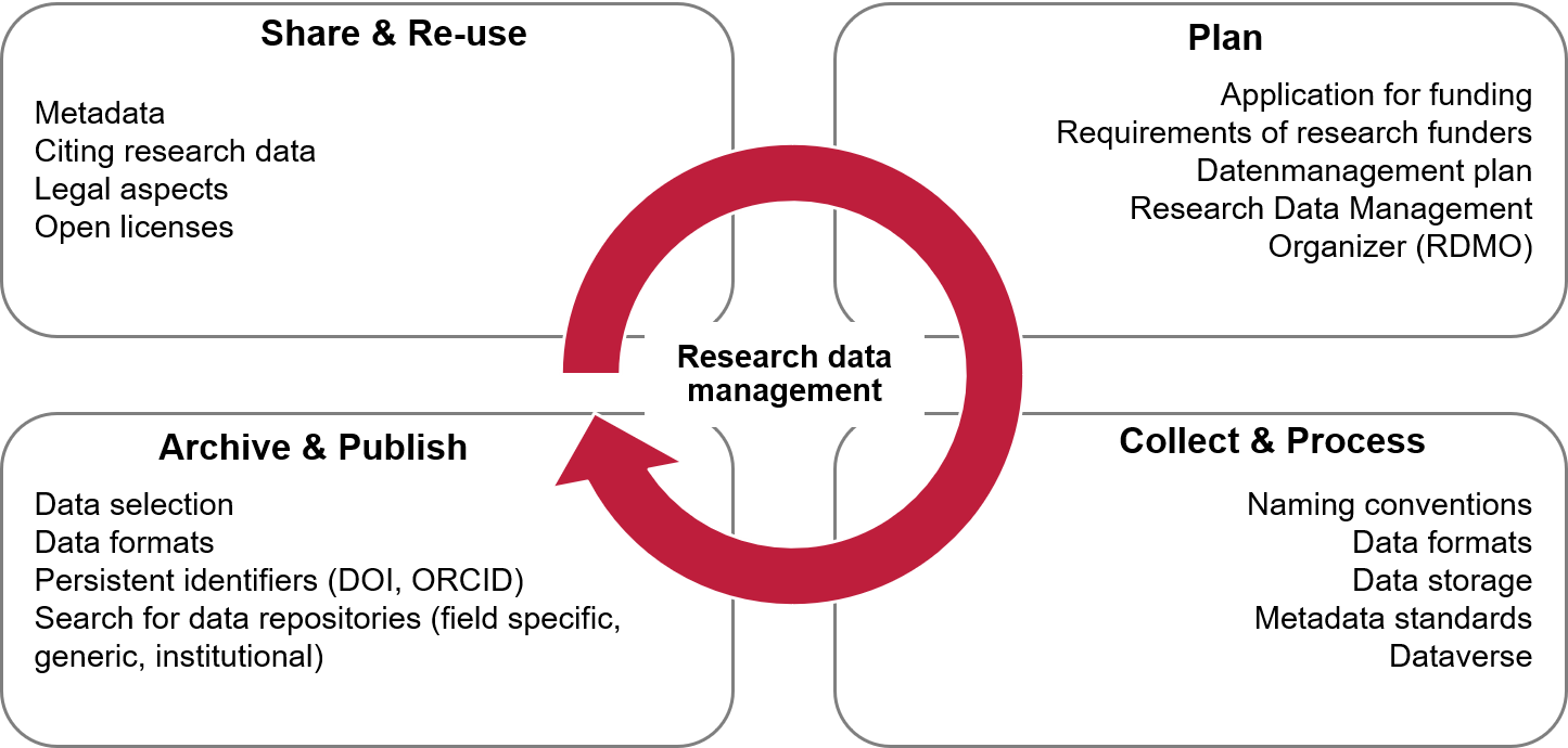 RDM lifecycle