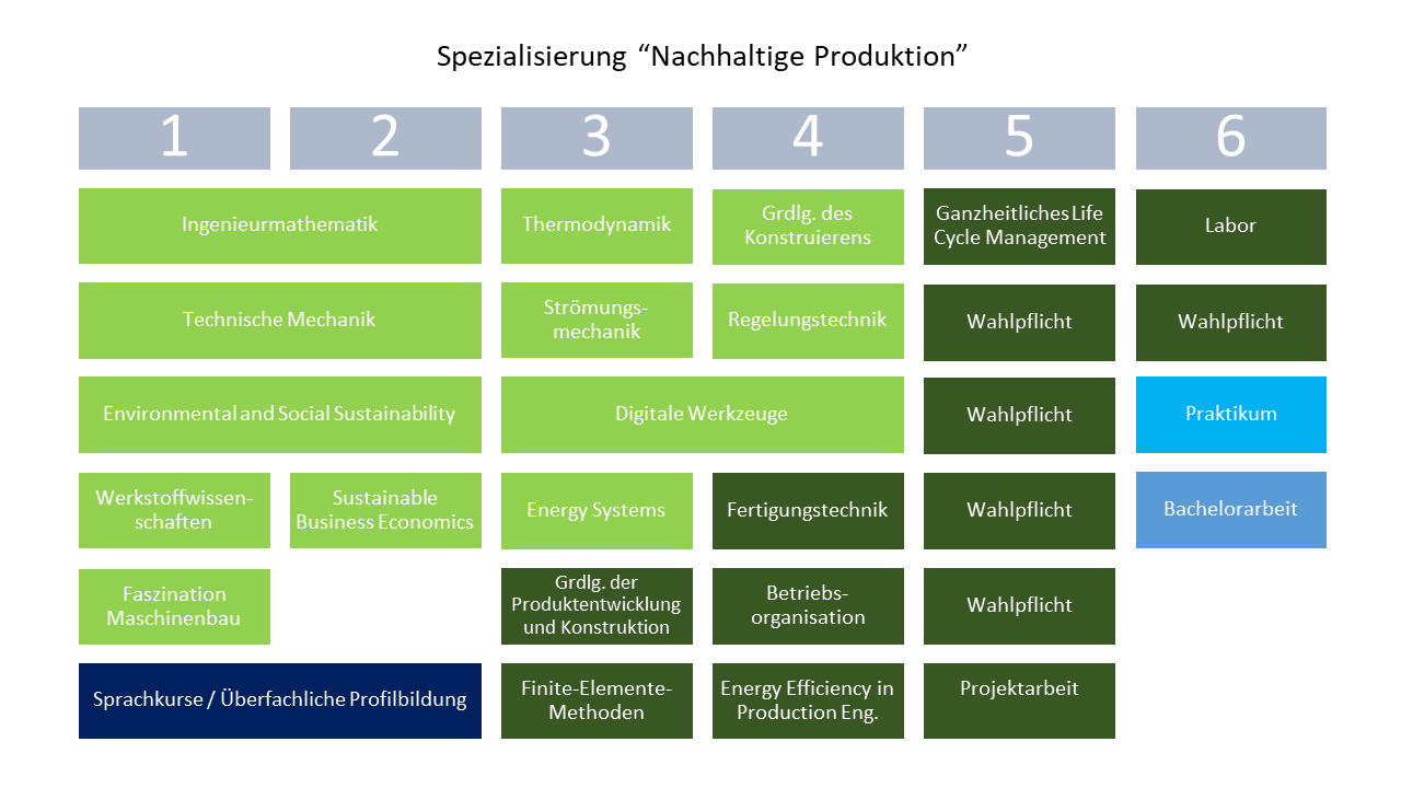 SEPP Musterstudienpläne Produktion, deutsch