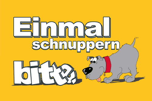Schnupperstudium
