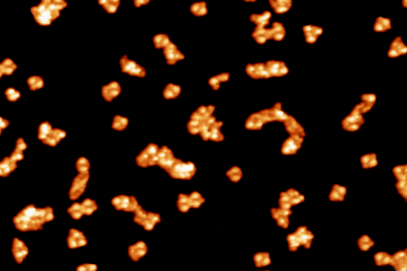 Anordnungen von Peptidhormonen auf einer kristallinen Kupferoberfläche.