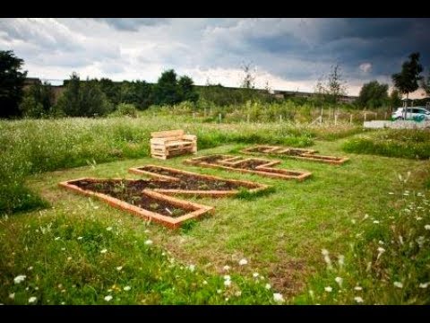 Blick auf die NFF-Blumenwiese