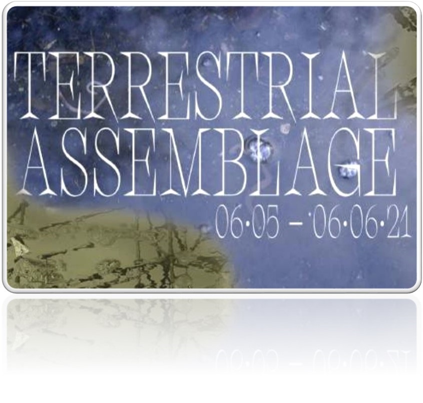 Terrestrial Assemblage (05.  Mai bis 06.  Juni)