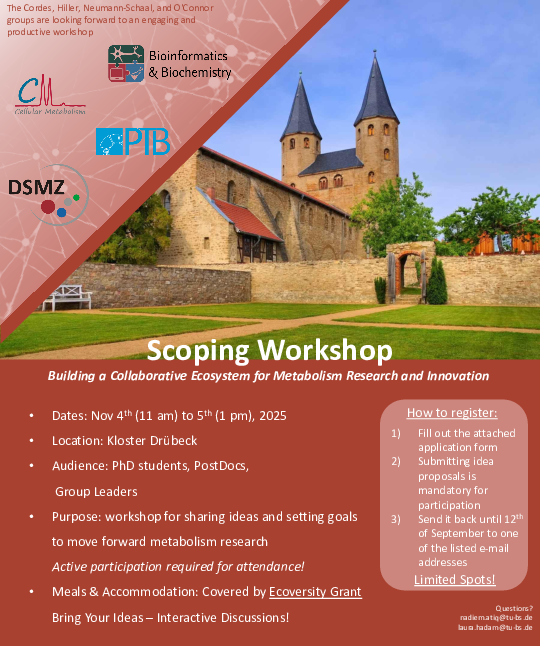 Scoping Workshop Flyer