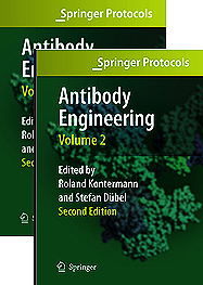 Antibody Engineering