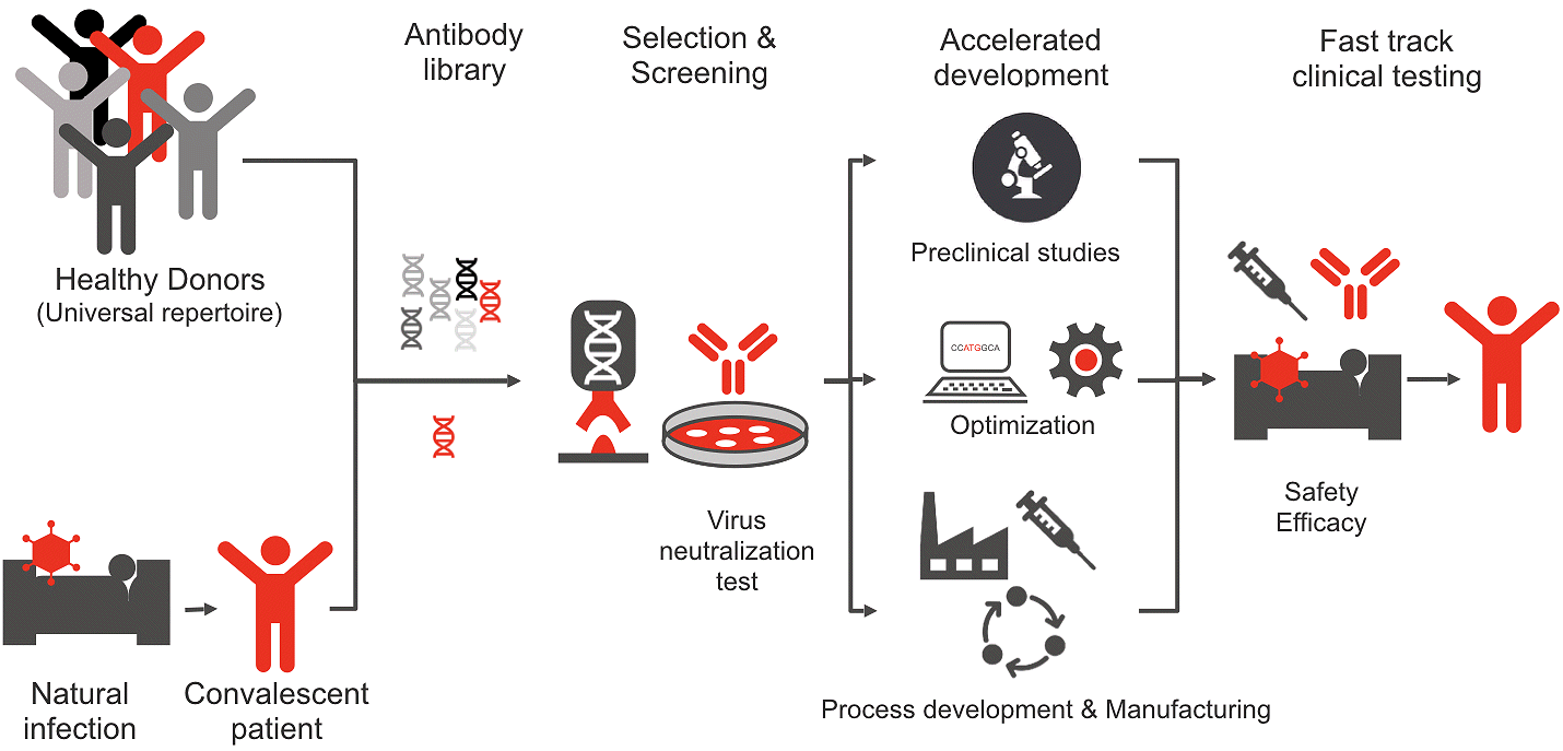 Development of COR-101