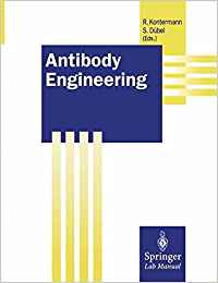 Antibody Engineering