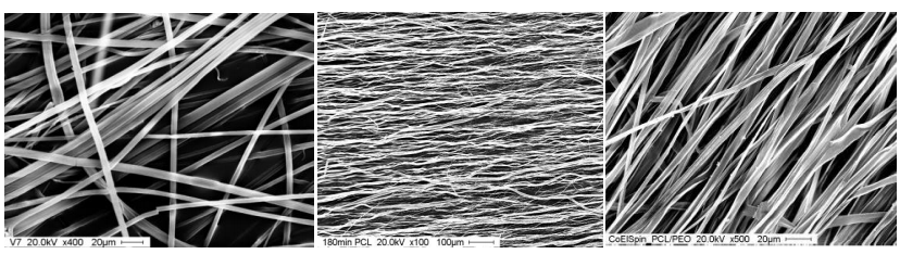 SEM-images of electrospun nanofibers from (a) polystyrene (PS)//DMF/MEK(2:1) solution (b) polycaprolactone  (PCL) // dichlormethane (DCM) (c) Co-Electrospinning of PCL/polyethylene glycol (PEO).[5]