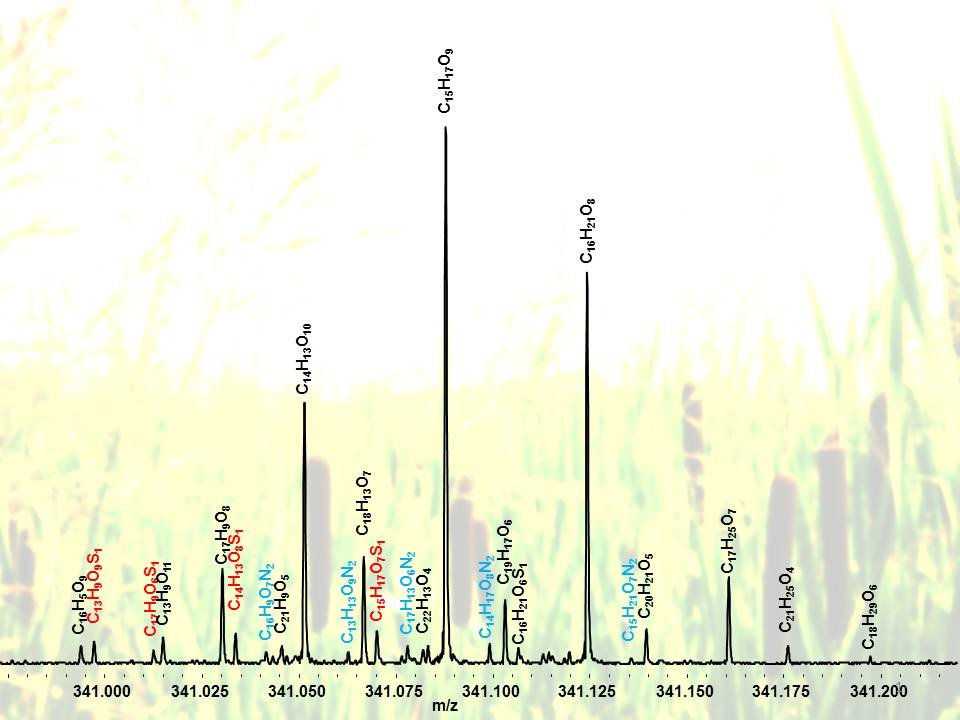 Einfluss biogeochemischer Prozesse