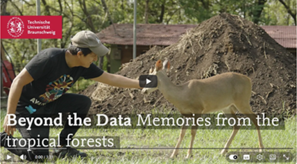 Screenshot Video Beyond the Data