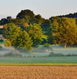 Landschaft