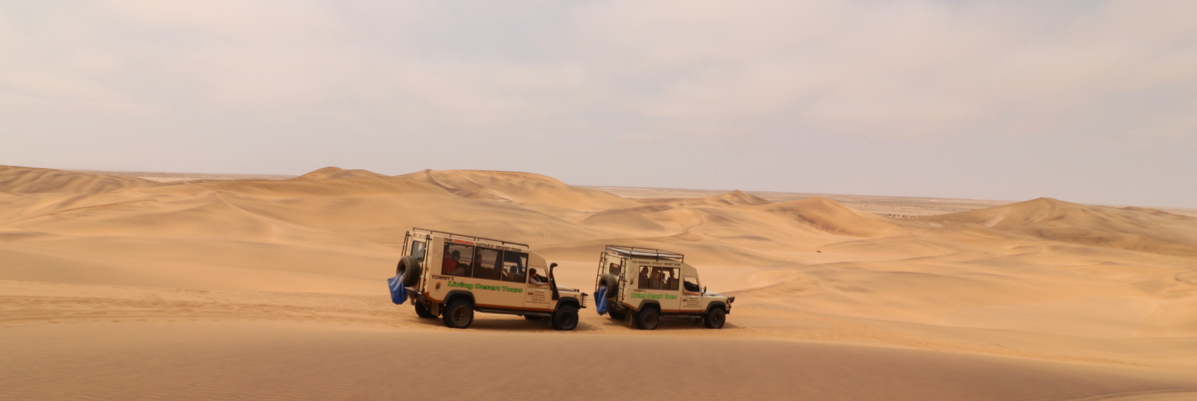 Desert Safari in Namibia