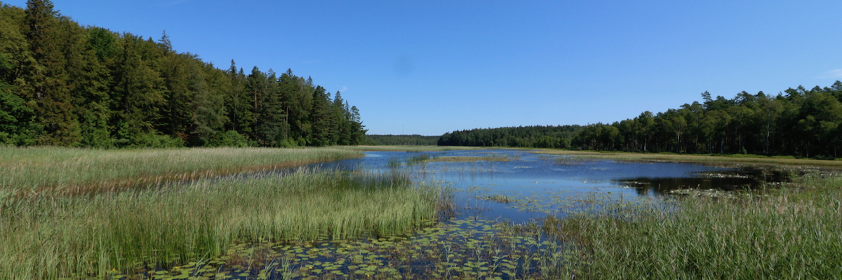 See-Zufluss in Schweden