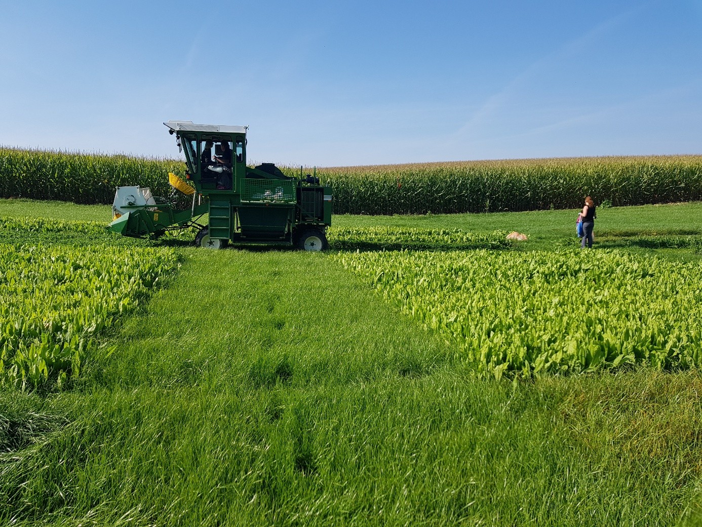 Traktor auf dem Feld