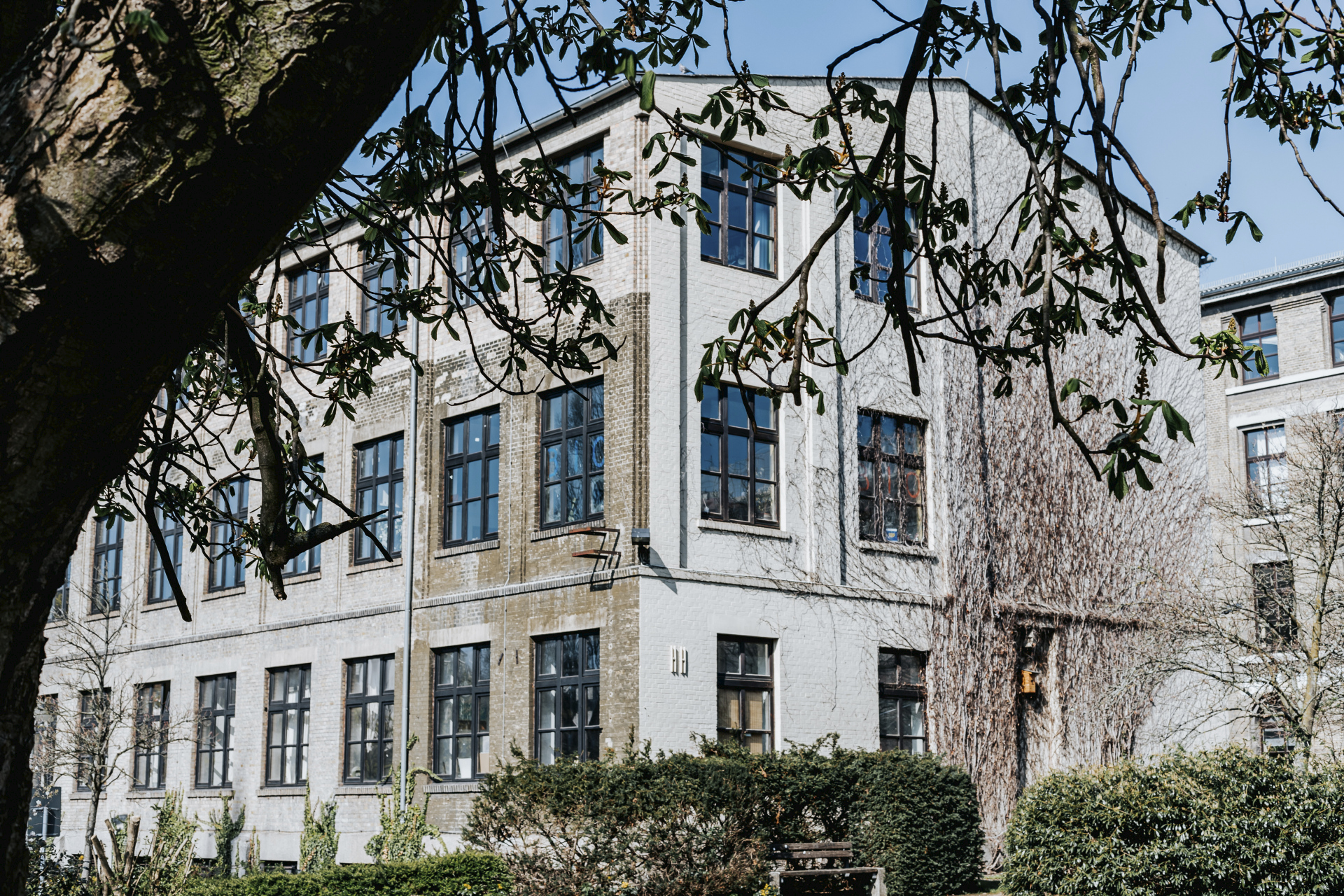 Am Grotrian