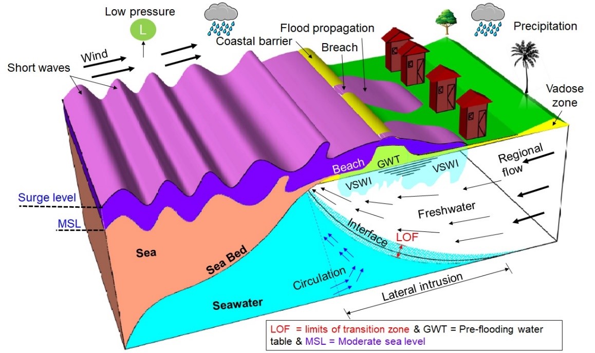 Fig. 1: Sea/land boundary during an extreme storm surge event: Water level increases under the effect of strong wind and low pressure. Thus, barriers become directly attacked by shortwaves riding on the surge, possibly resulting in barrier breaching, coastal inundation and subsequent vertical saltwater intrusion (VSWI) into aquifers. The precipitation and seaward groundwater flow induced by differences in hydraulic gradients support long-term natural remediation of aquifers.