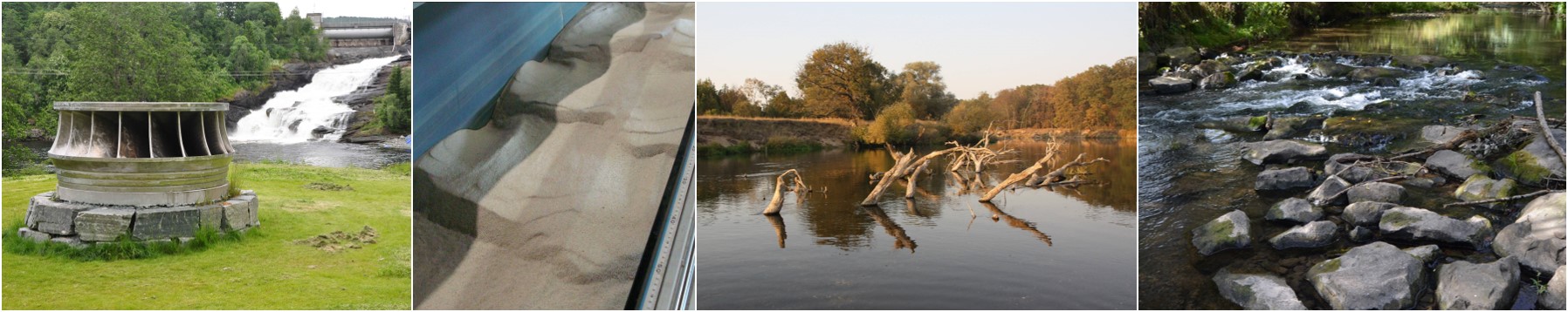 Wasserbau und Gewässermorphologie Collage