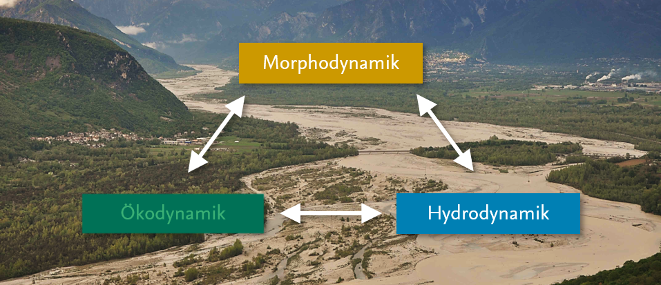 Leitbild Wasserbau und Gewässermorphologie