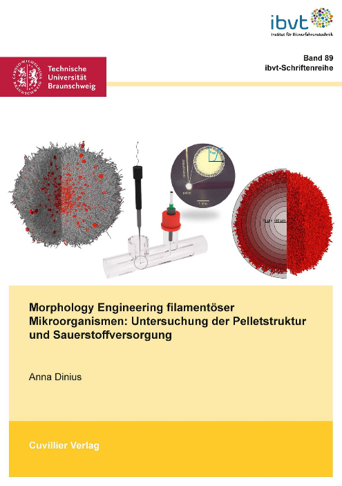 Morphology Engineering filamentöser Mikroorganismen: Untersuchung der Pelletstruktur und Sauerstoffversorgung