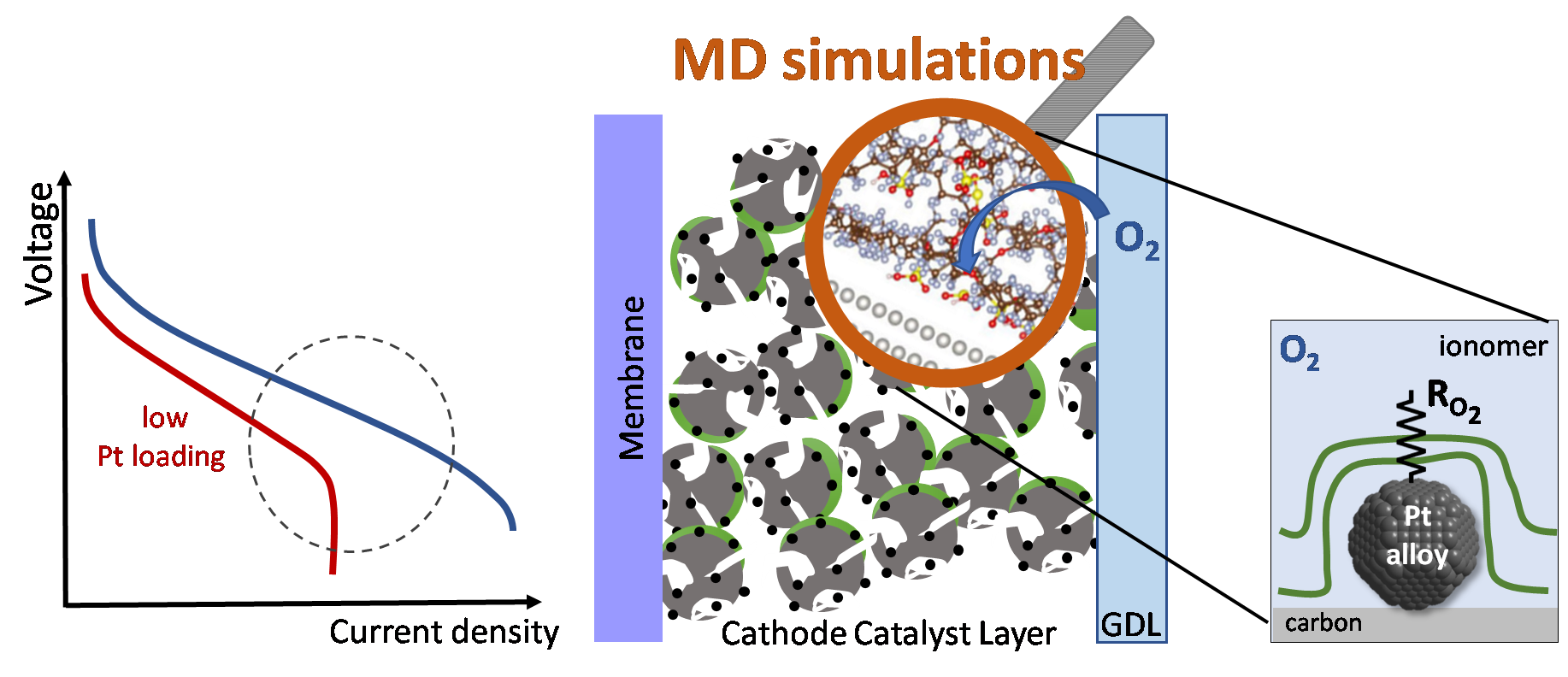 Obtaining fundamental insights into the catalyst – ionomer interface by linking the experiment with MD simulations