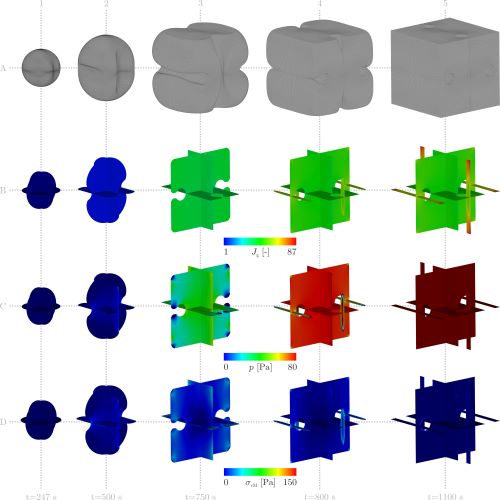 cube evolution