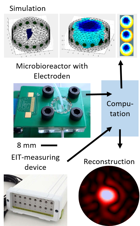 Micro_EIT_Project_figure_for_IMT_website