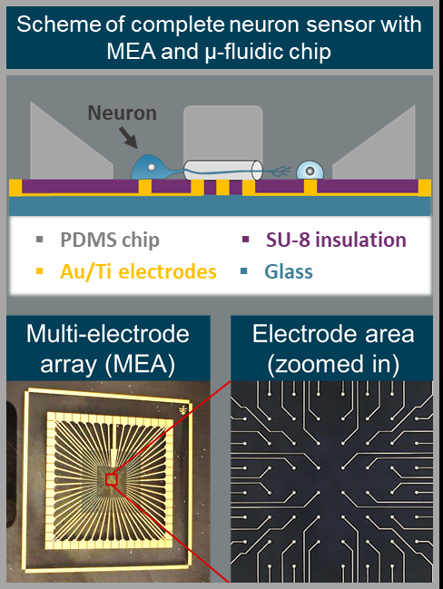 Microelectrode array for extracellular activities recording