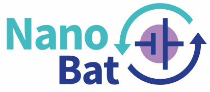 NanoBat
