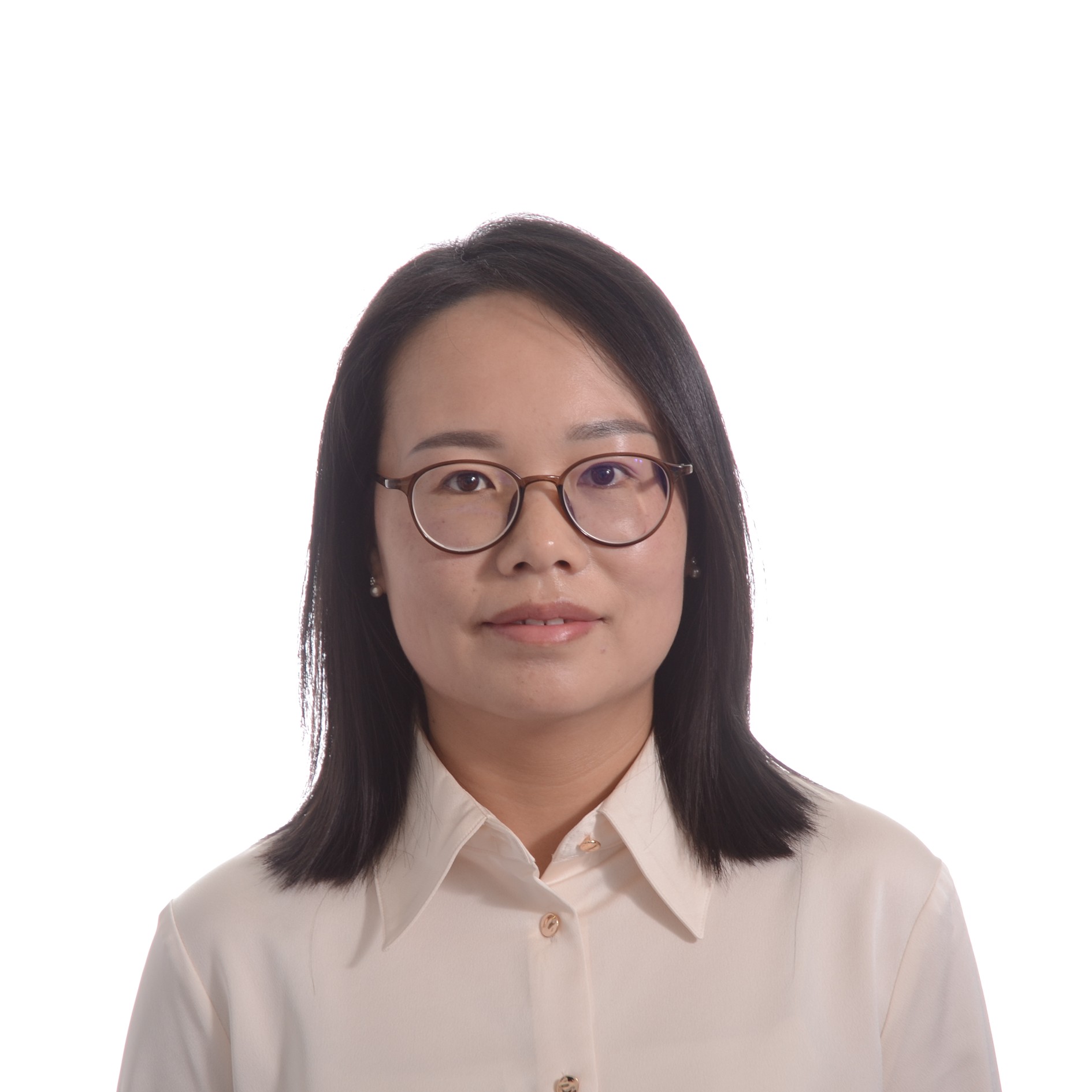 Dr.-Ing. Hongwei Wang