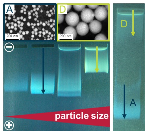 TEM Aufnahmen sphärischer SiO2-Nanopartikel 