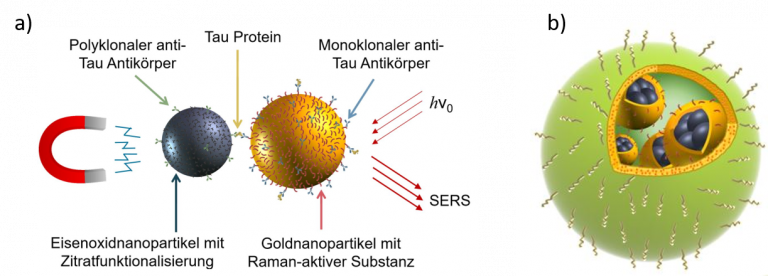 Nanopartikel-Hybridsysteme - (a) Antikörper-funktionalisierte Eisenoxid- und Goldnanopartikel zur magnetischen Aufreinigung und anschließenden Detektion von Tau Protein, (b) SERS-aktives Hybridnanopartikelsystem bestehend aus Gold-beschichteten Eisenplatinnanopartikeln, welche in ein organisches Trägerpartikel eingekapselt wurden und für eine hoch-sensitive in-vitro Diagnostik eingesetzt werden.