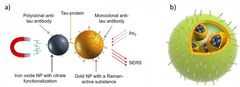 Nanoparticle hybrid systems -  (a) Antibody-functionalized iron oxide and gold nanoparticles for magnetic purification and subsequent detection of tau-protein, (b) SERS-active hybrid nanoparticle system consisting of gold-coated iron-platinum nanoparticles encapsulated in an organic carrier particle and used for a highly sensitive in-vitro diagnostic.