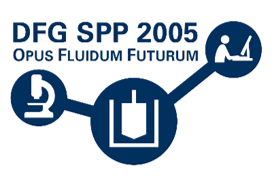 Logo DFG SPP 2005