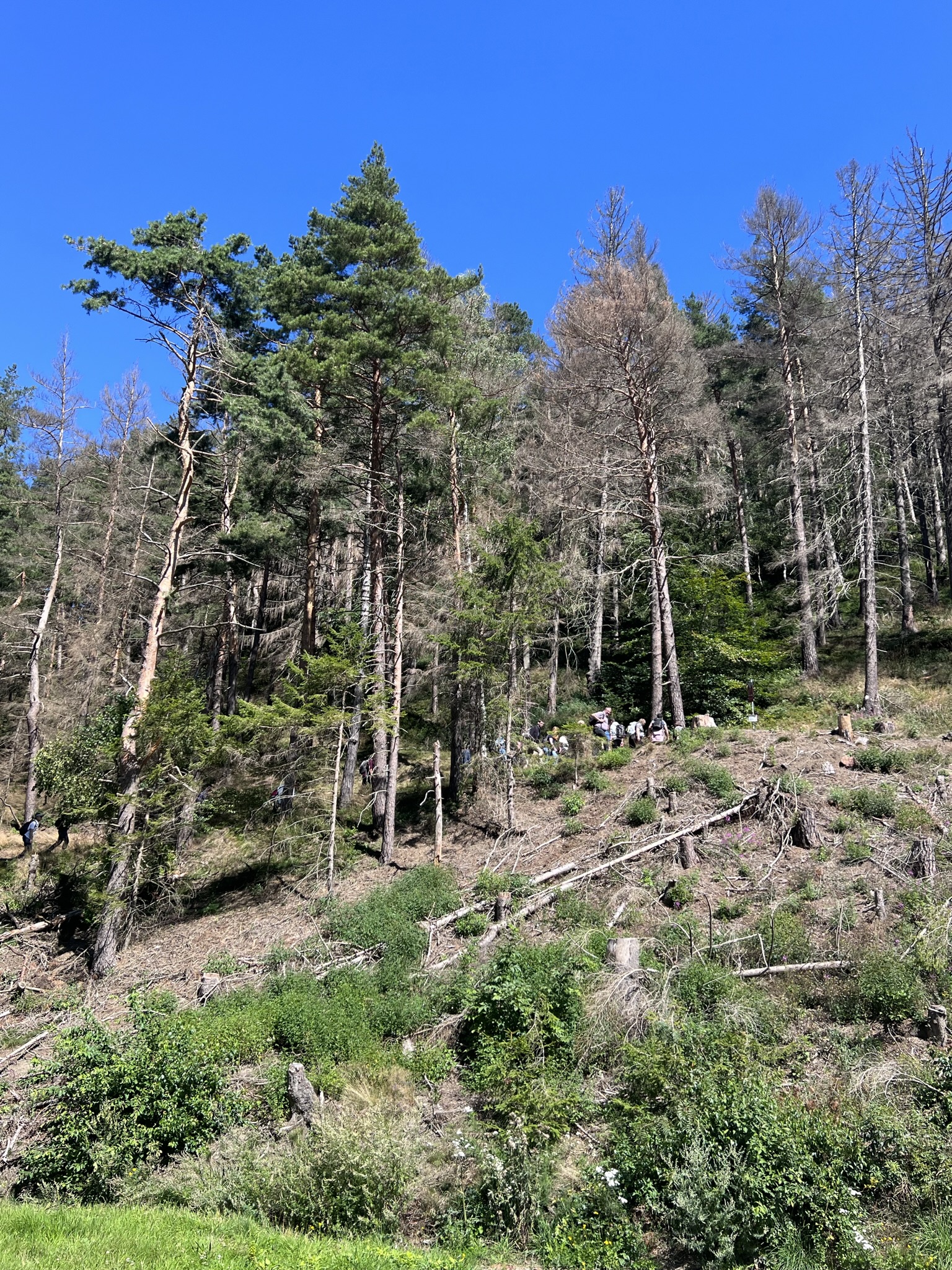 IfN-Ausflug 2023 Harz