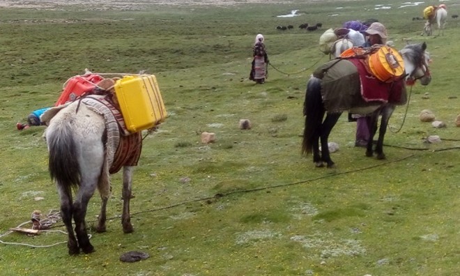 Im Hochgebirge von Tibet wird unsere Ausrüstung von Einheimischen mit Pferden transportiert.