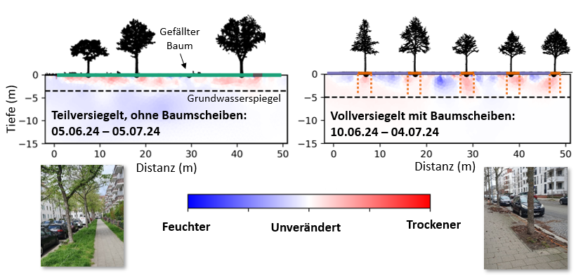 Änderungen der Bodenfeuchte an einem teilversiegeltem und einem vollversiegeltem Standort zeigen unterschiedliche Bereiche der Wasseraufnahme. 