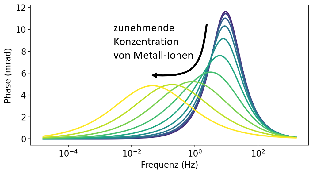 Untersuchung des Einflusses von gelösten Metallionen auf die frequenzabhängige Phase der Leitfähigkeit eines Metallkorns in einer Elektrolytlösung. Anhand der Phase kann die Stärke der Polarisation gemessen werden