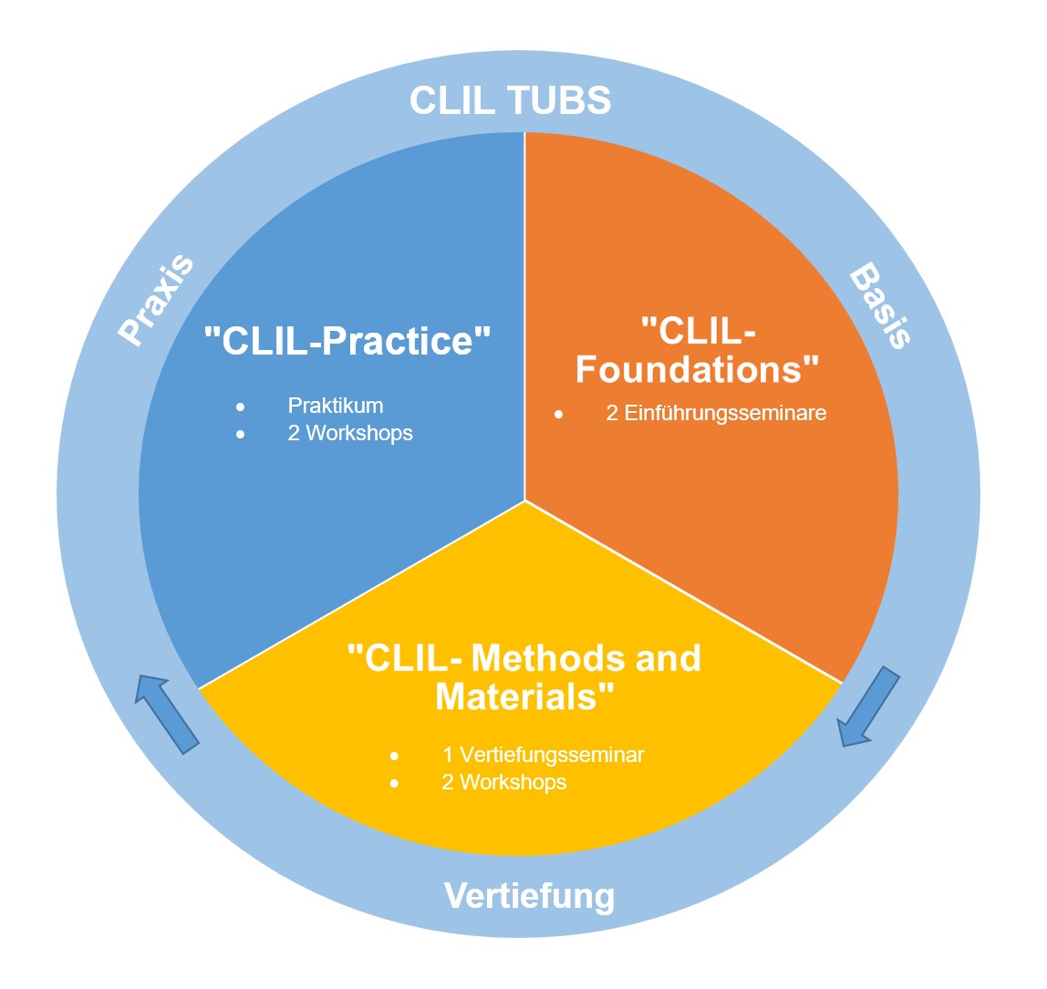 CLIL Studienstruktur