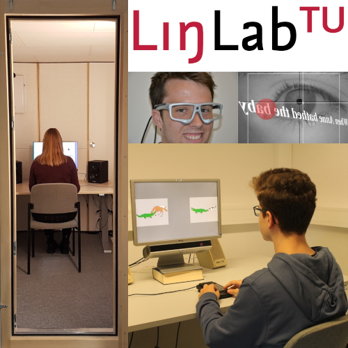 A collage of 4 pictures, one picture of a woman sitting with her back to the camera facing a computer, one picture of a man wearing eye-tracking glasses, one of a child looking at a computer, one of an eye with text laid over the top