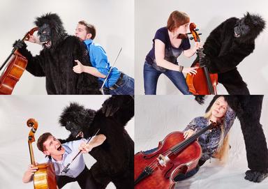 Bild King Kong Celli (Vorschau)