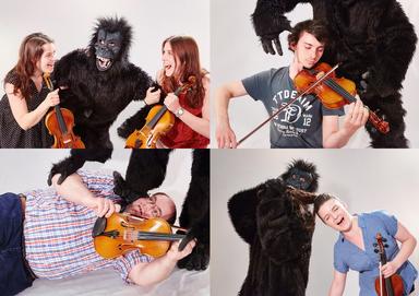 Bild King Kong Geigen 2 (Vorschau)