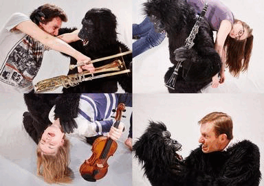 Bild King Kong Loop 11 Bilder