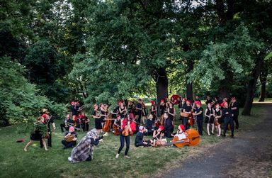 Orchesterfoto Problemwolf (Vorschau)
