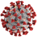 Virus SARS-CoV-2