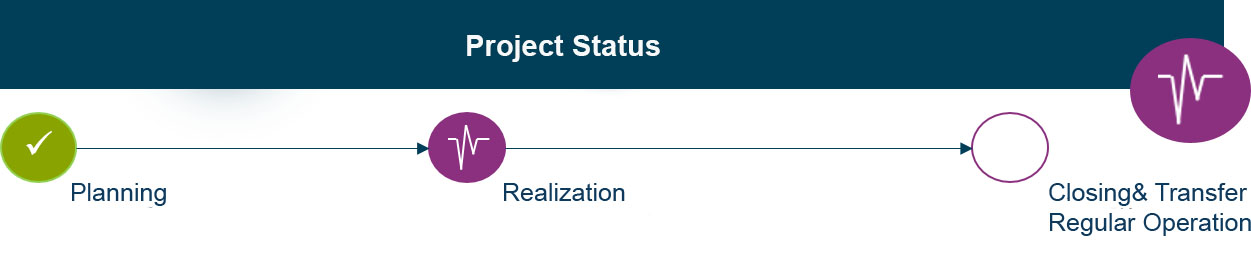 Project status