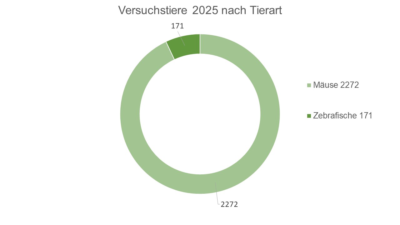 In 2025 wurden 2272 Mäuse und 171 Zebrafische in der Forschung verwendet.