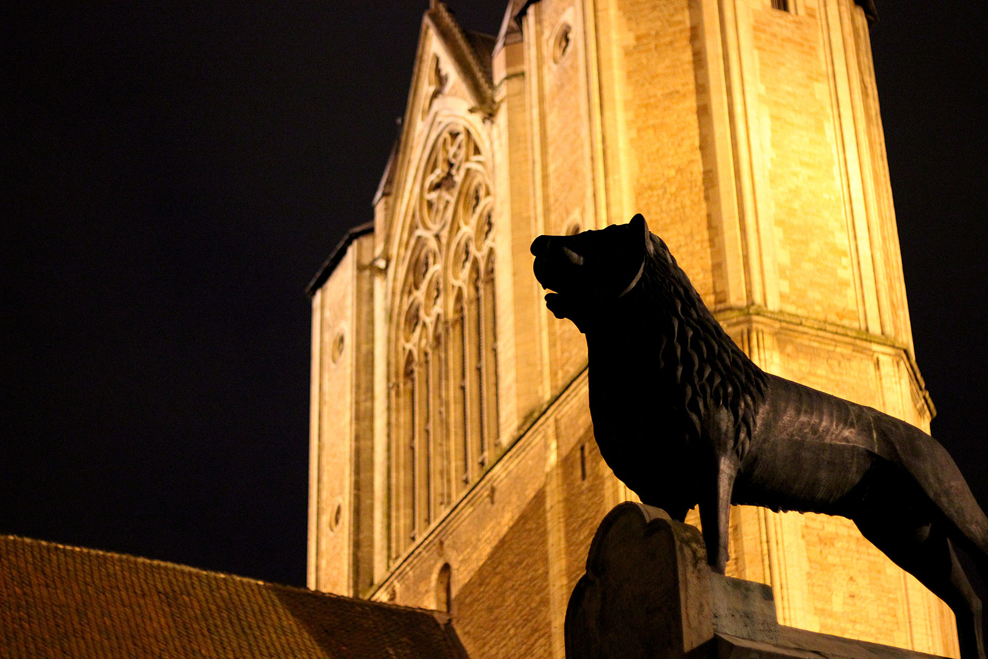 Burglöwe in der Nacht vor dem beleuchteten Dom