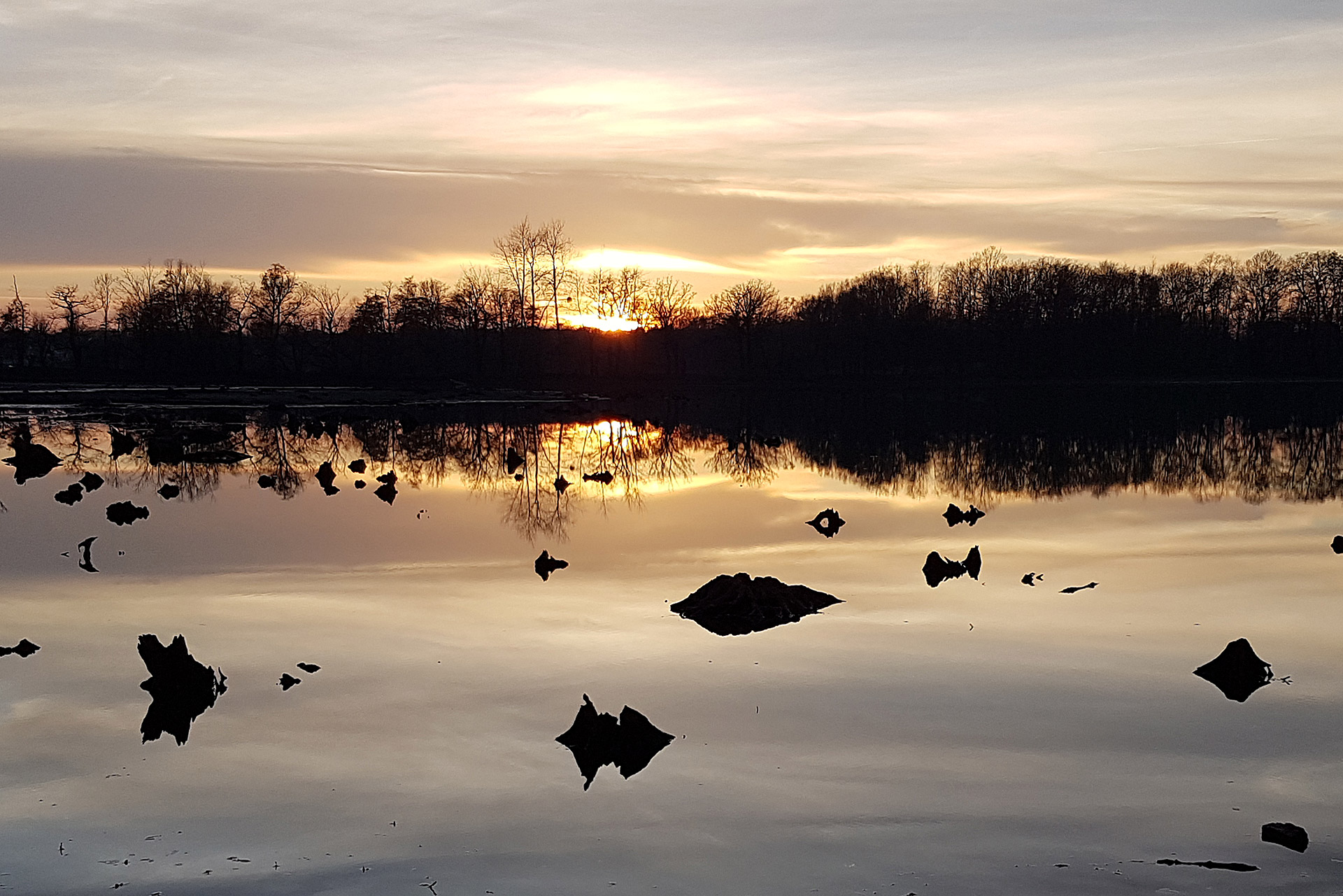 Sonnenuntergang an den Riddagshausener Teichen